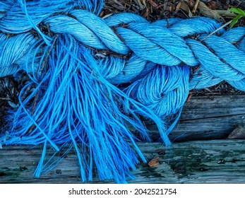 Frayed end of light blue nautical rope repurposed as a minor landscaping element, for motifs of wear and tear