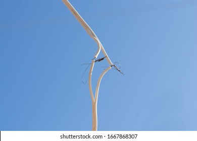 Frayed Wire On Blue Background