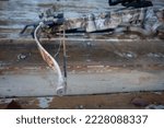 A frayed, worn out, broken bowstring that will need to be replaced.  This is general maintenance on compound and crossbows, and is very important to keep in good repair. Shallow depth of field.