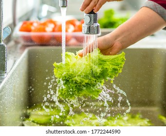 freah vegetable washing with hand. - Powered by Shutterstock