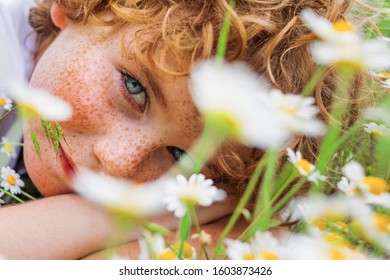 Freckled Boy And Daisies. Happy Little Blond Or Red Hair Kid Boy With Blue Eyes Laying On The Grass With Daisies Flowers. Child Dreaming And Smiling Against The Background Of A Camomile Field.