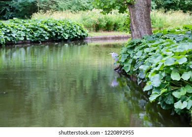 Frederiksberg Park In Copenhagen, Denmark.