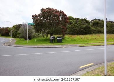 Free BBQ grills left at the road cross section under pohutukawa tree