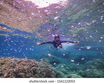 Free Dive At Moalboal Cebu