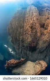 Free Diver In Barracuda Lake, Corom