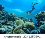 Free diver girl takes underwater photos of a beautiful coral reef with tropical fish