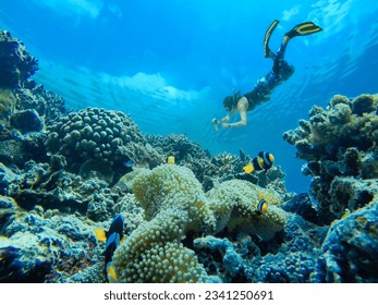 Free diver girl takes underwater photos of a beautiful coral reef with tropical fish