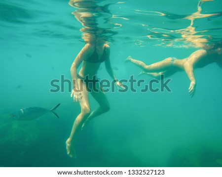 Free diver in undersea diving enjoying coral reef site with fish under water
