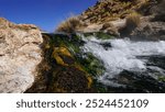 Free entrance to the White geyser near by Taito in Atacama