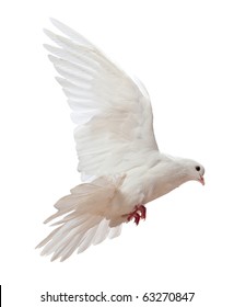 Dove Wings Images, Stock Photos & Vectors | Shutterstock