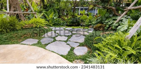 Free form pattern of gray stone pavement walkway beside a pond in a garden of park, greenery fern epiphyte topical plant, shrub and bush under shading of the trees, good care maintenance landscaping