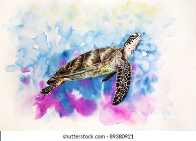 Free Hand Painting From Watercolor Demonstrated A Hawksbill Sea Turtle.