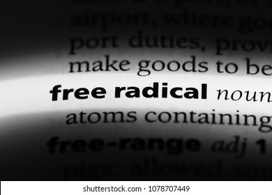 Free Radical Word In A Dictionary. Free Radical Concept