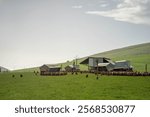 free range chicken farm with chook tractors on a regenerative agricultural australian farm in spring with poultry on grass