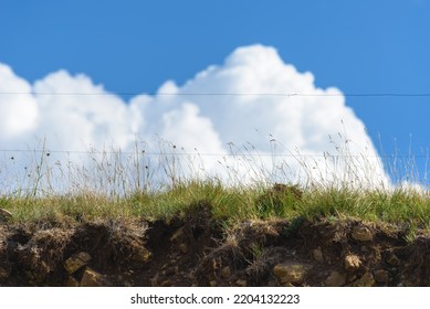 Free Range Farm Electric Wire Fencing On Zlatibor Hills With White Clouds In Background, Selective Focus