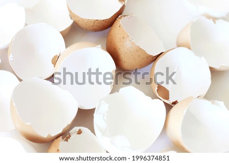 Free Range Hen's Eggshell Closeup. Organic Brown Eggs. Easter Background.