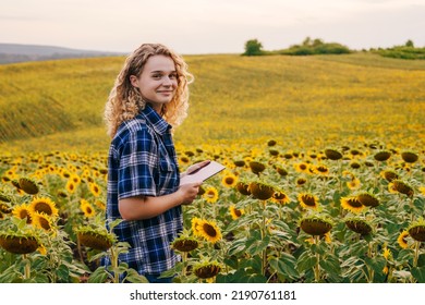 Free Space For Text. Smiling Curly Woman Looking At Camera Exploring Sunflower Plantation At Sunset, Using Smart Tablet. Agro Industry. Smart Farm Technology.