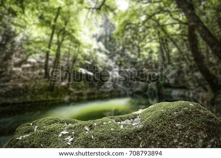 Similar – Green forest in the summer reflecting colors in a rive