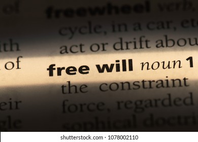 Free Will Word In A Dictionary. Free Will Concept