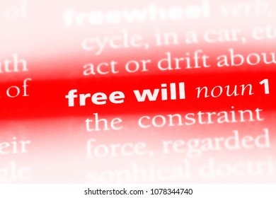 Free Will Word In A Dictionary. Free Will Concept