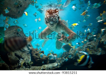 Similar – Man in his back with scuba diving equipment exploring the ocean floor.