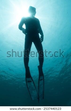 Similar – From below full body of unrecognizable active teen boy wearing yellow flippers snorkeling by coral reef in deep ocean with crystal clear waters at Menorca