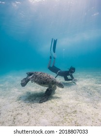 Freediver With A Sea Turtle