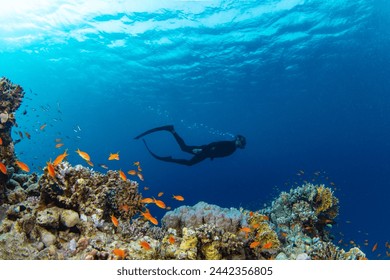 Freediver Swimming in Deep Sea With Sunrays. Young Man DIver Eploring Sea Life. - Powered by Shutterstock