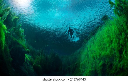 Freediver Swimming In Freshwater Ponds At Piccaninnie Ponds Conservation Park, South Australia