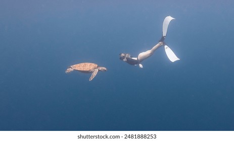 Freediver with turtle - women snorkeling with turtle - Powered by Shutterstock