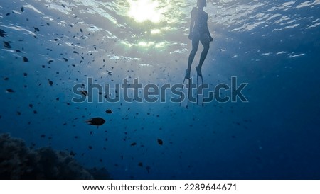 Freediving on the coral reef