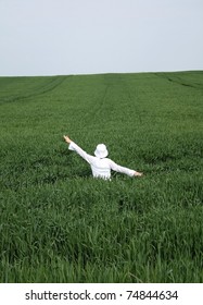 freedom