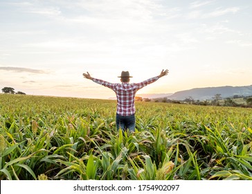 Freedom Brazilian Farmer Man Stand At The Green Farm With Gratitude.