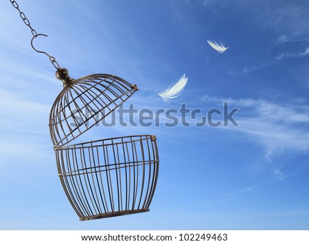 Freedom cage escaping concept