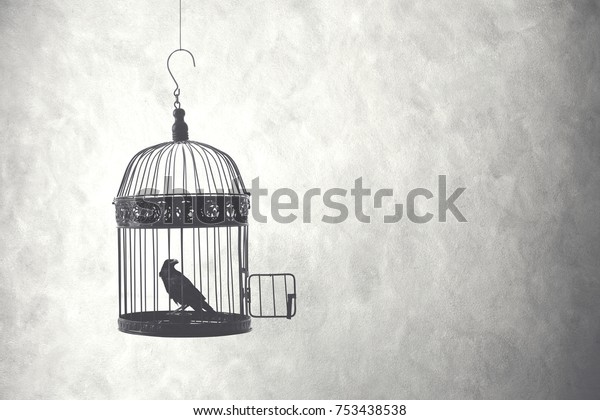 freedom concept, bird in\
an open cage 