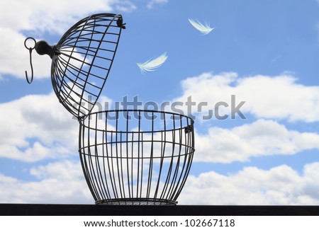 Freedom concept. Escaping from the cage