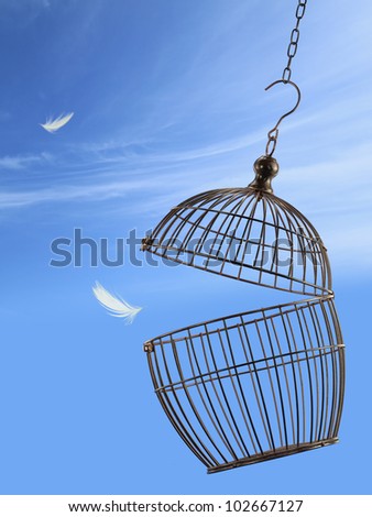 Freedom concept. Escaping from the cage