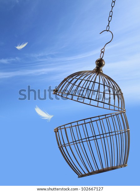 Freedom Concept Escaping Cage Stock Photo (Edit Now) 102667127
