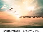 Freedom concept: Silhouette of bird flying and broken chains at autumn mountain sunset background