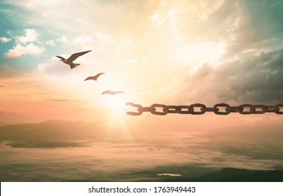 Freedom concept: Silhouette of bird flying and broken chains at autumn mountain sunset background - Shutterstock ID 1763949443