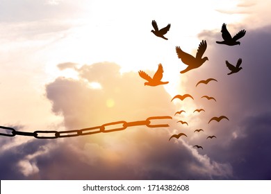 Freedom concept. Silhouettes of broken chain and birds flying in sky