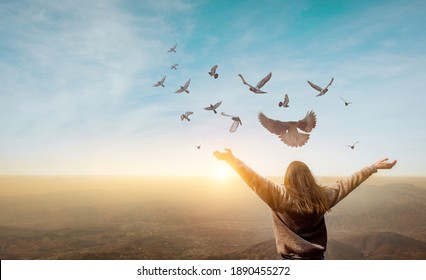 Freedom of life, free pigeon and woman enjoying nature on sunset background, freedom concept.