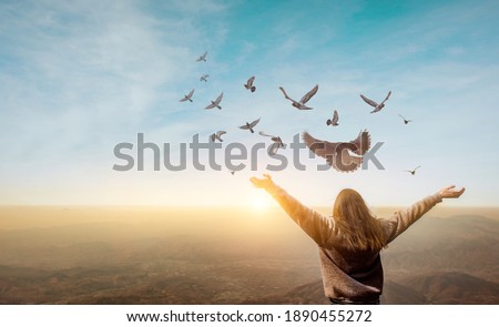 Freedom of life, free pigeon and woman enjoying nature on sunset background, freedom concept.