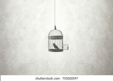 freedom minimal concept, bird in an open cage 