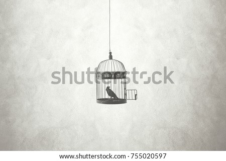 freedom minimal concept, bird in an open cage 