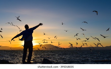 freedom, peace and seagulls - Shutterstock ID 395018035
