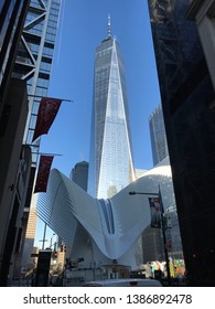 Freedom Tower And The Oculus