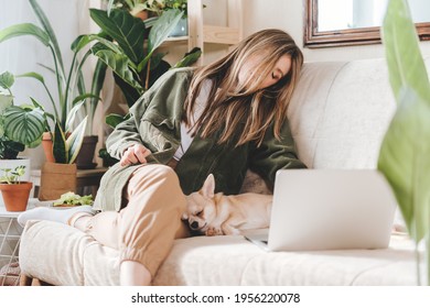 Freelance Woman Falling Asleep With Dog And Tired, While Working From Home Office At Laptop Computer. Girl Sitting On Couch In Living Room With Plants. Distance Learning And Online Education.