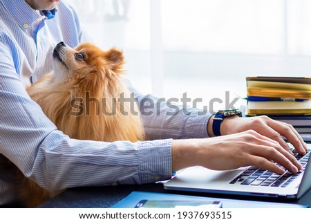 Freelancer man, bisnessman with his friendly pomeranian spitz using laptop at remote home office. loyal dog looking at the owner. pet adoption. closeup. copy space, text