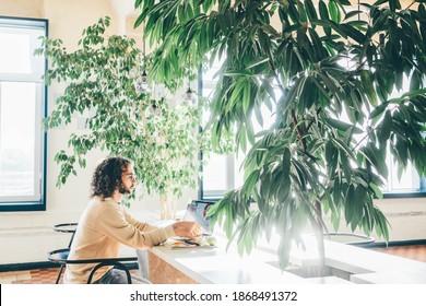 Freelancer Man Using Laptop At Comfortable Office, Green Co-working Modern Workplace 